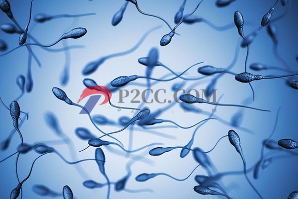 做人工授精男性精子要滿足標準