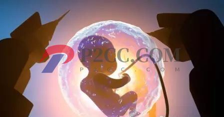 同樣時間懷孕，為什么有的顯懷而有的不顯懷？或與胎兒健康有關？(圖2)