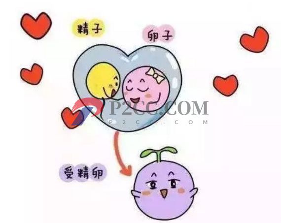 更年期是懷孕的第一征兆嗎？事實上，這三種感覺比更年期來得早(圖1)