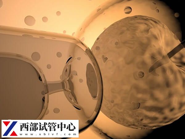 云南大學(xué)附屬醫(yī)院試管價(jià)格