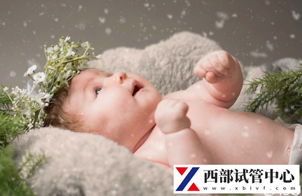 國內做試管嬰兒的費用