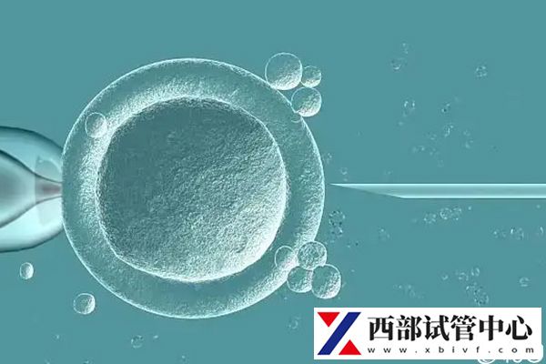 不同試管技術其臨床妊娠率有差異