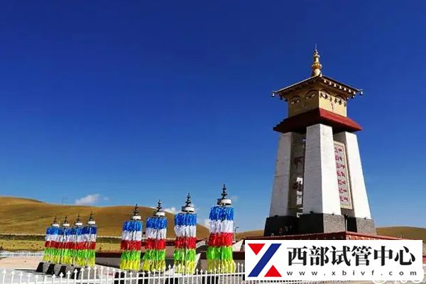 青海能做試管手術