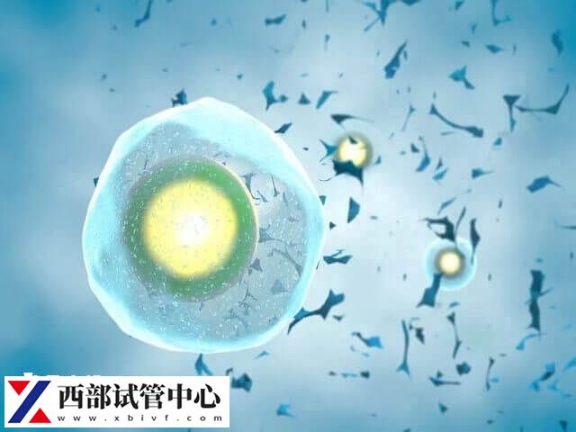 試管移植失敗要注意調整心態