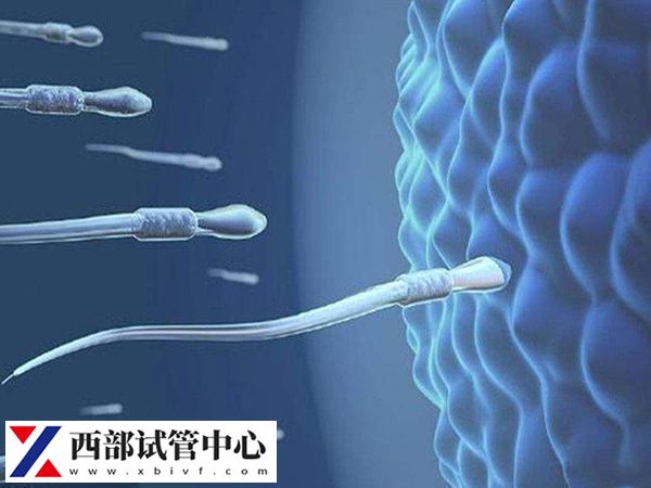 供精試管一次不成功能用原來的供精