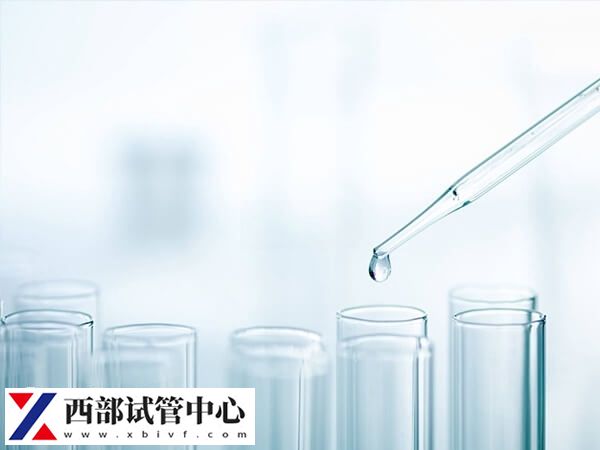 胚胎移植著床后會出現惡心嘔吐的早孕反應