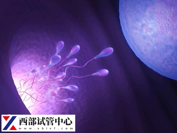 貴州有兩家公立醫院開展了三代試管嬰兒技術