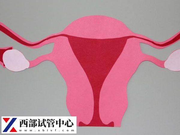 當FSH數值高于10通常表明卵巢儲備功能下降