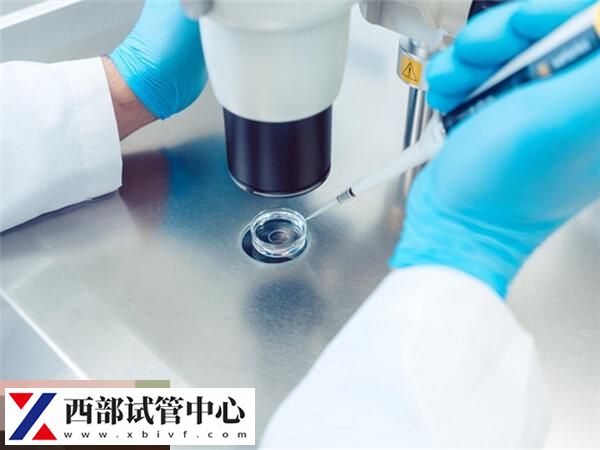 PGS篩查有一定的損耗